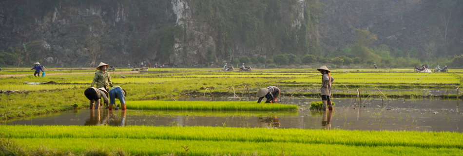 Vietnam in Brief - Weather