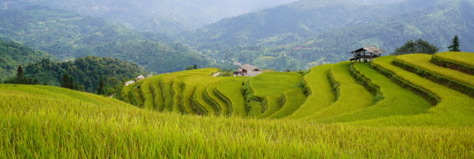 Vietnam in Brief - Keyfacts