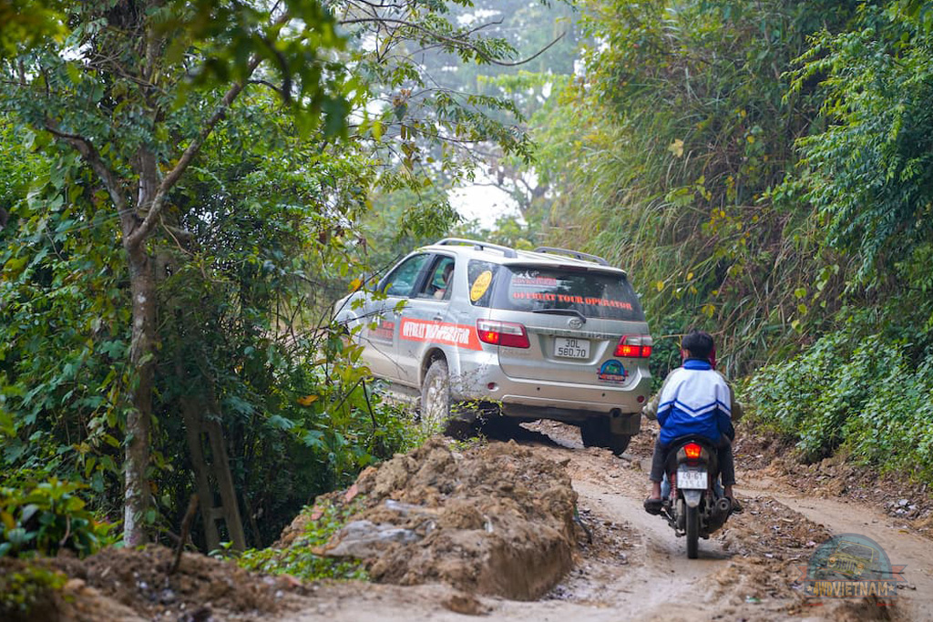 Traffic on trails