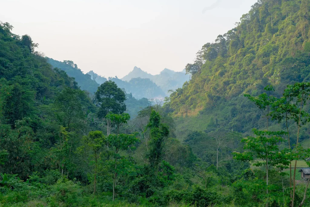 Ba Be National Park